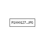 P1000127.JPG